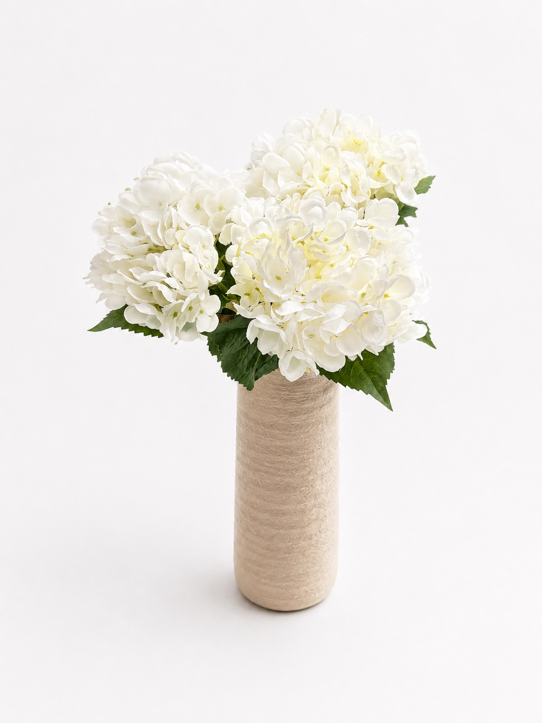 Hortensia bundel