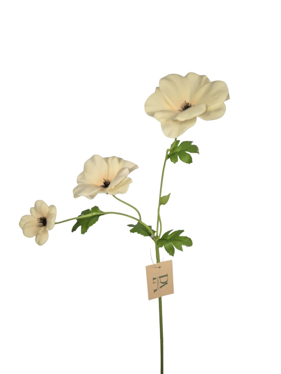 Poppy bloem