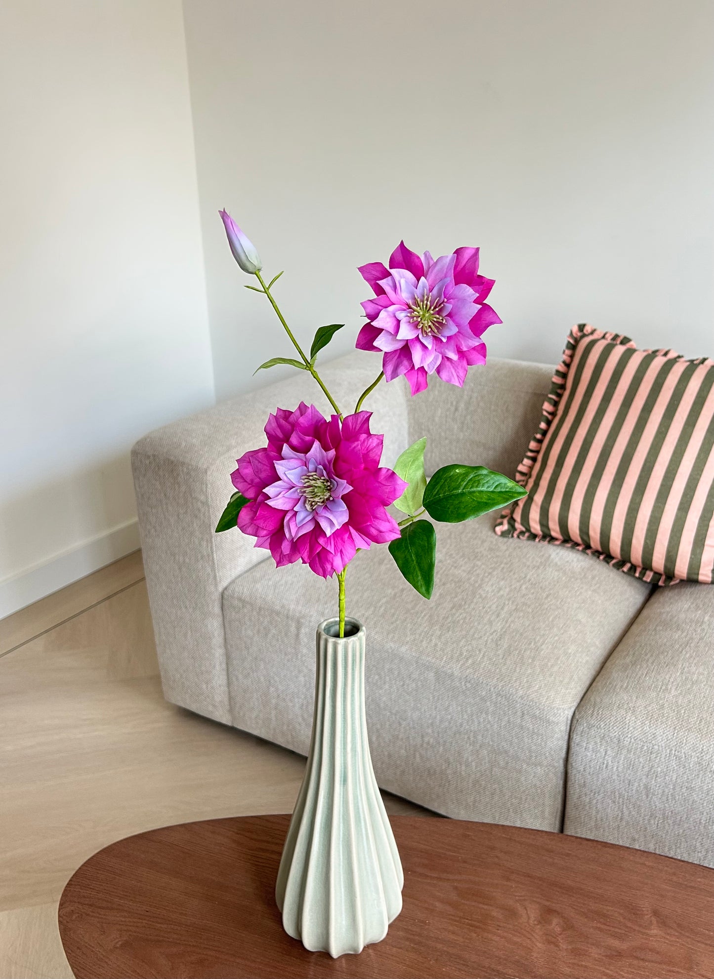 Dahlia bloem