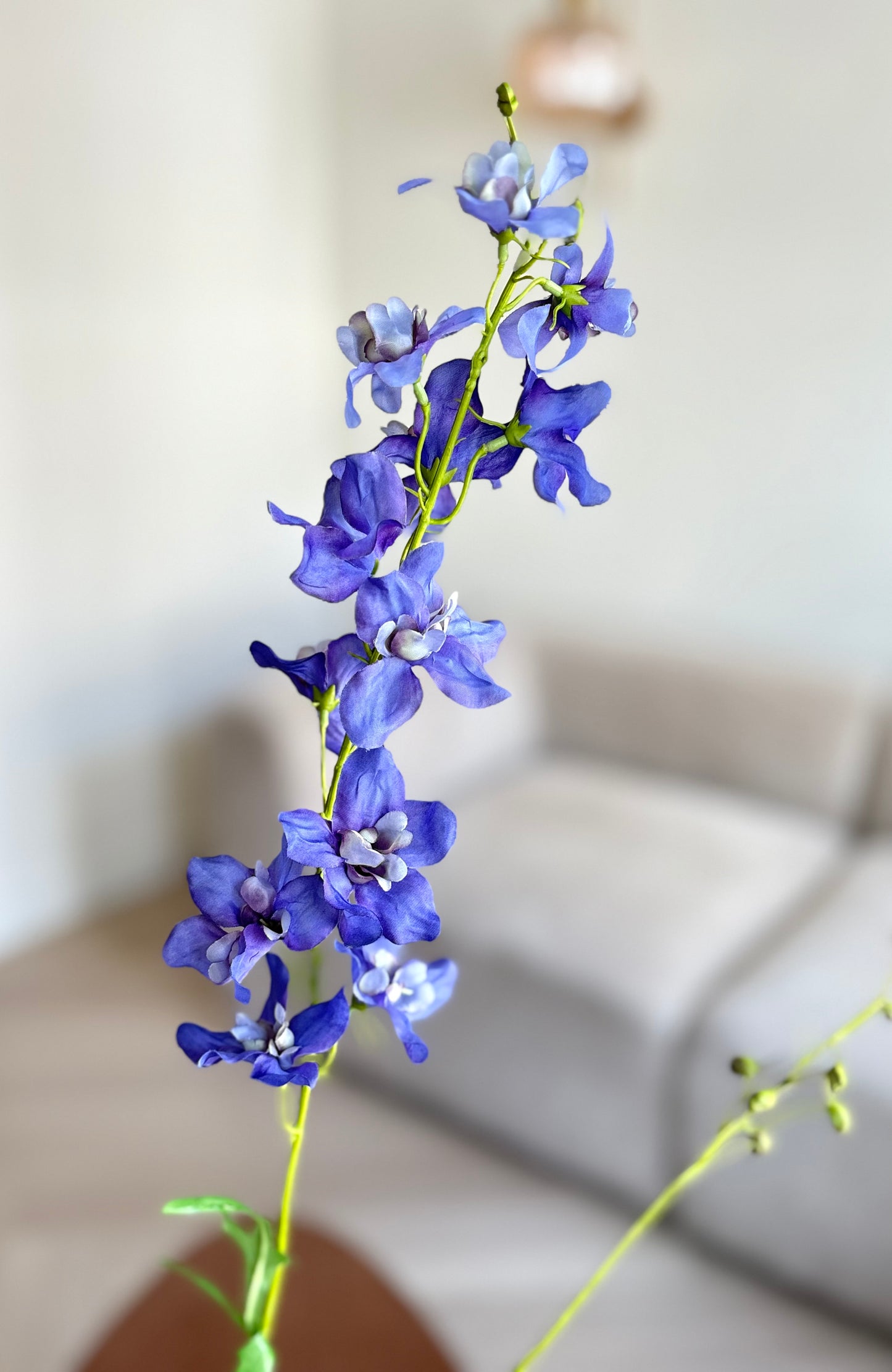 Delphinium bloem