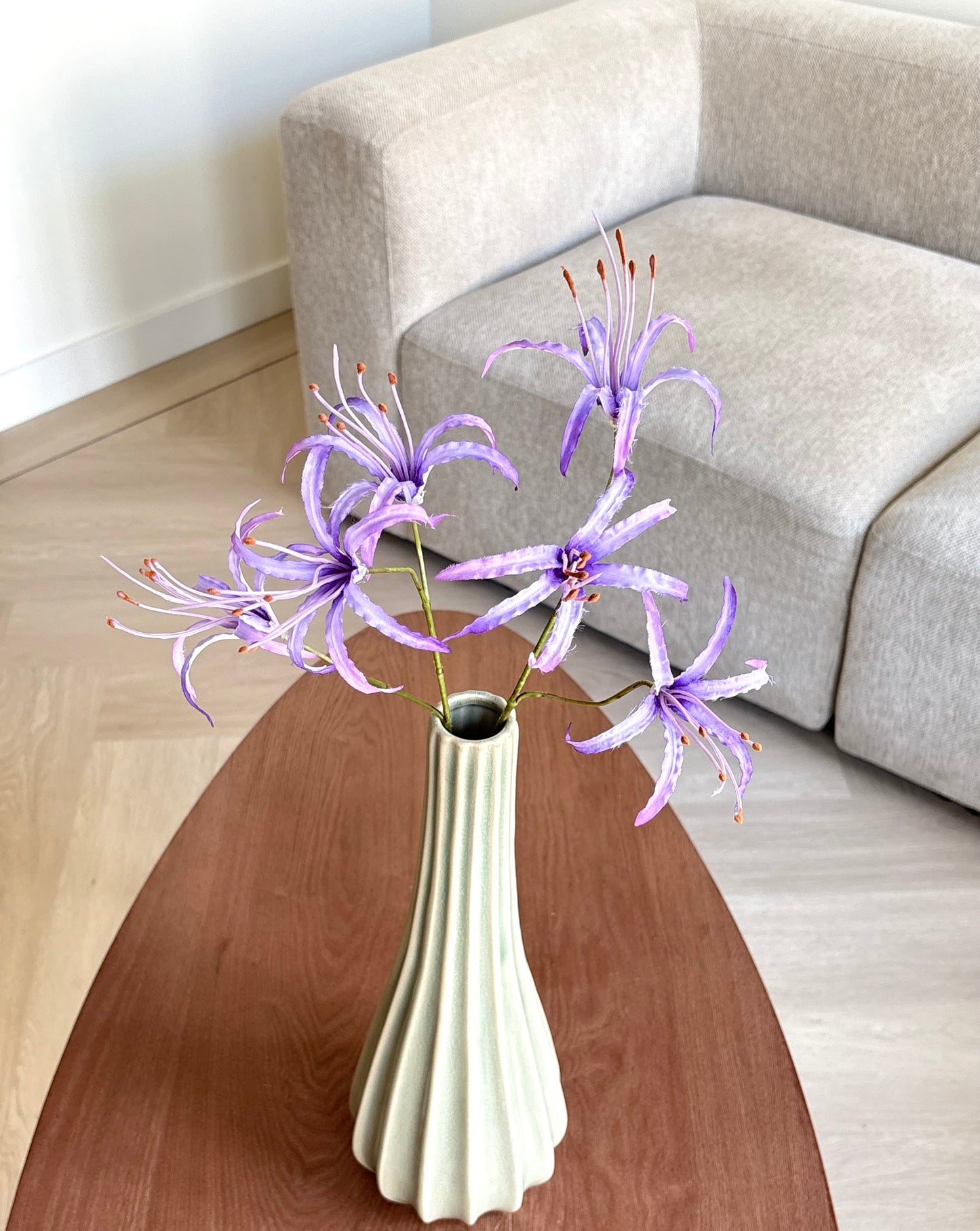 Nerine bloem