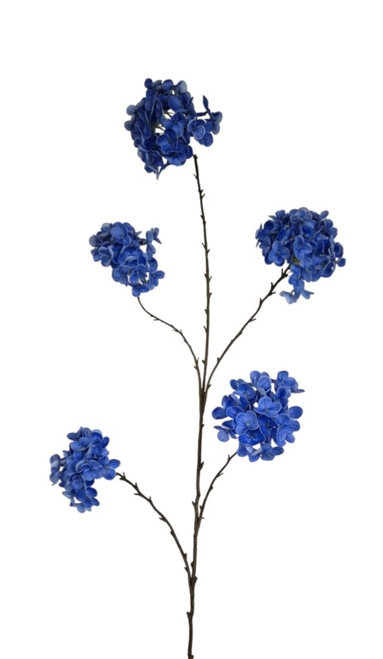 Hortensia