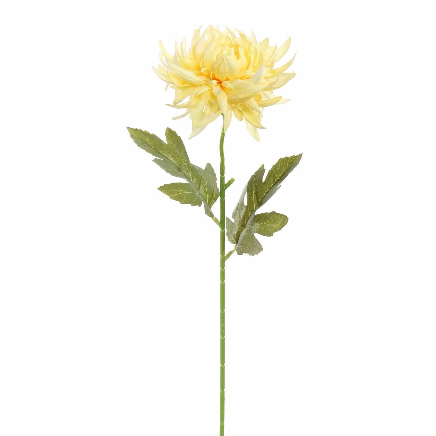 Geel bloem
