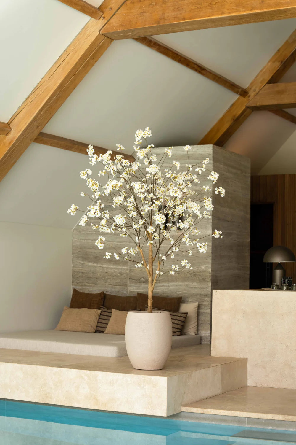 Bloesemboom