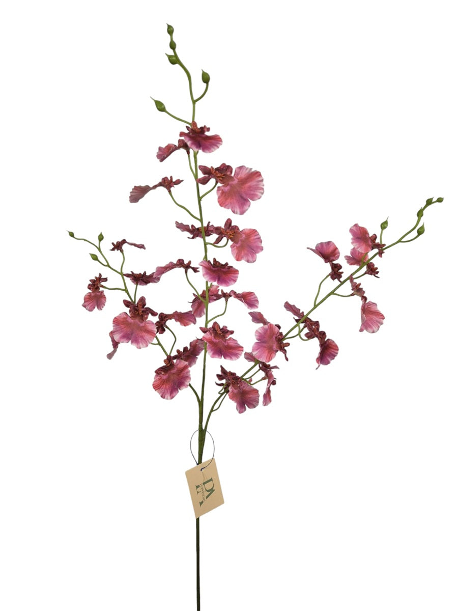 Orchidee bloem