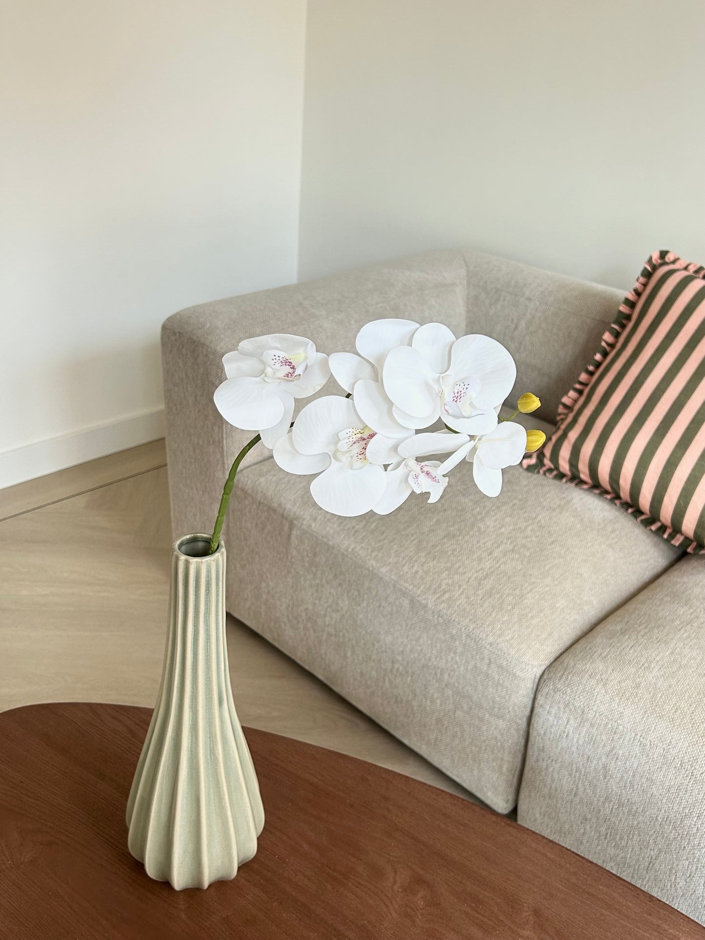 Orchidee bloem