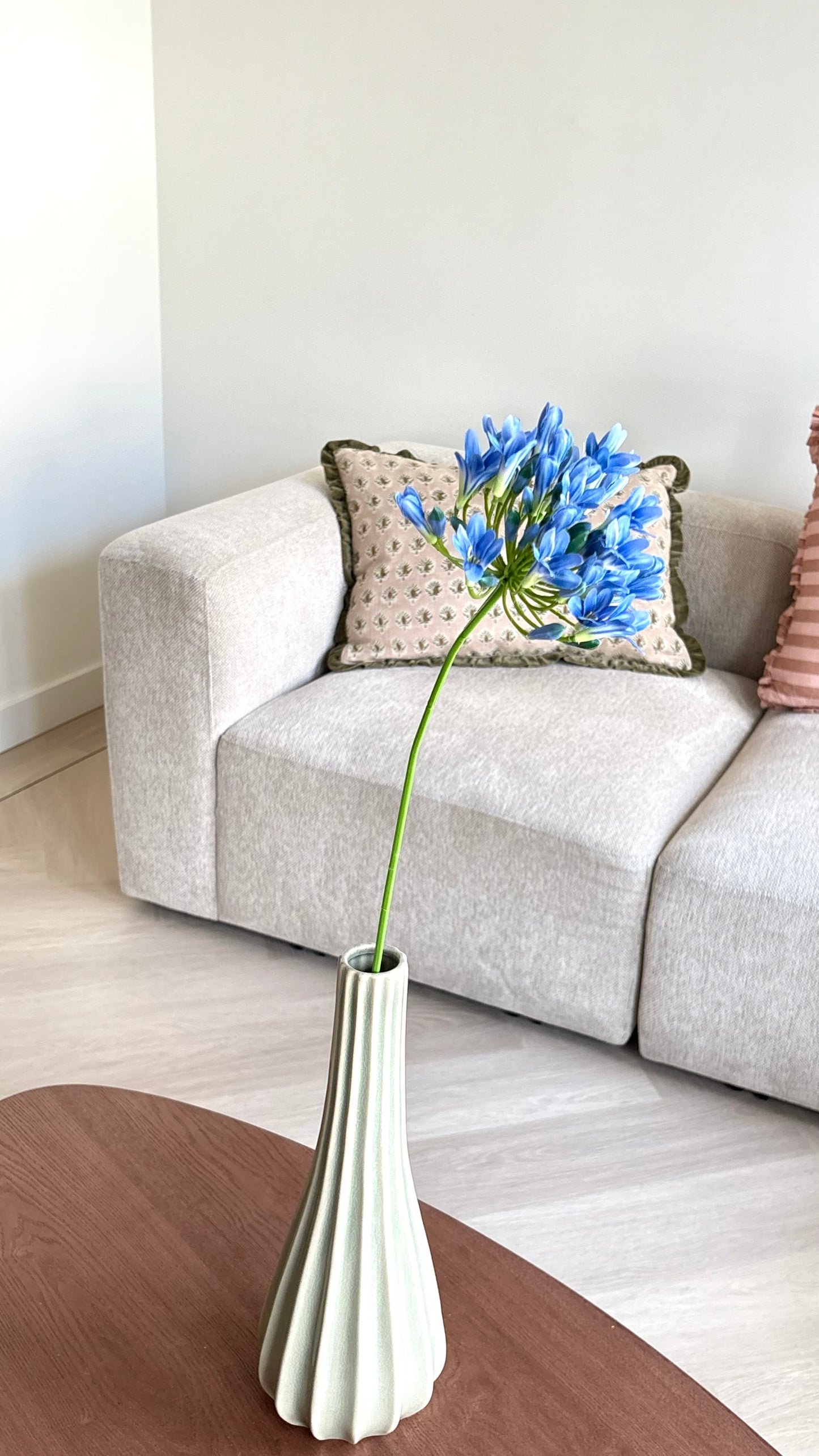 Agapanthus bloem