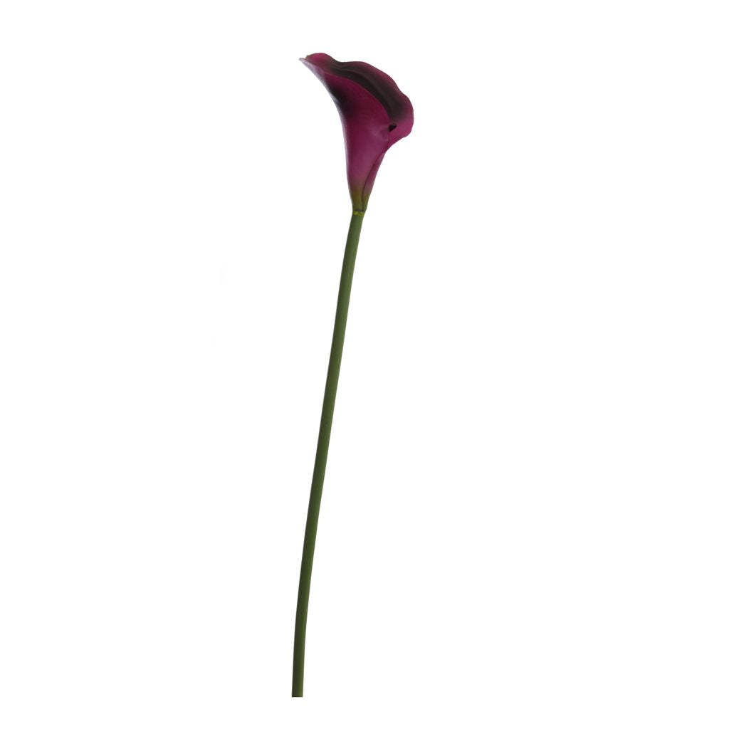 Callas bloem
