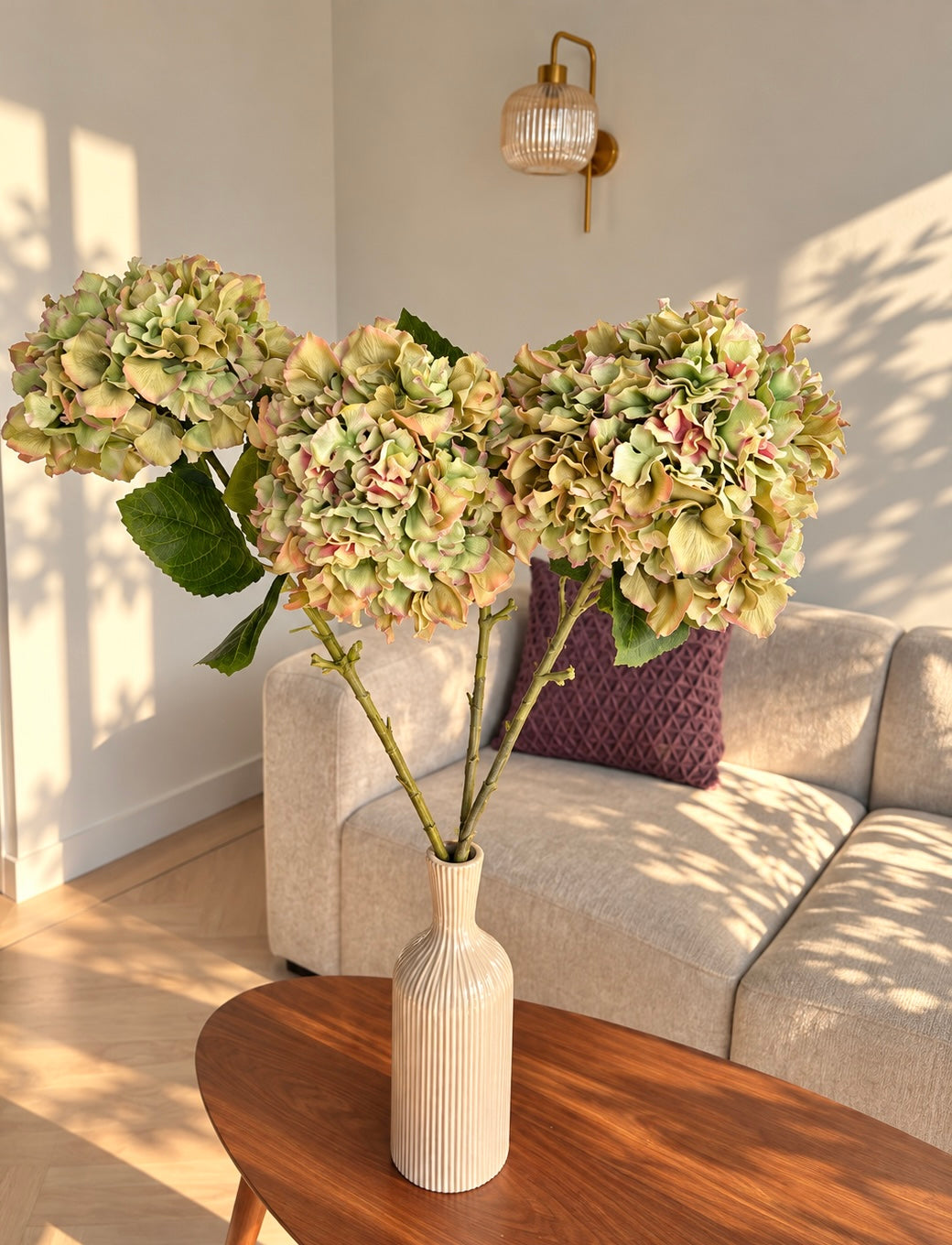 Hortensia bundel