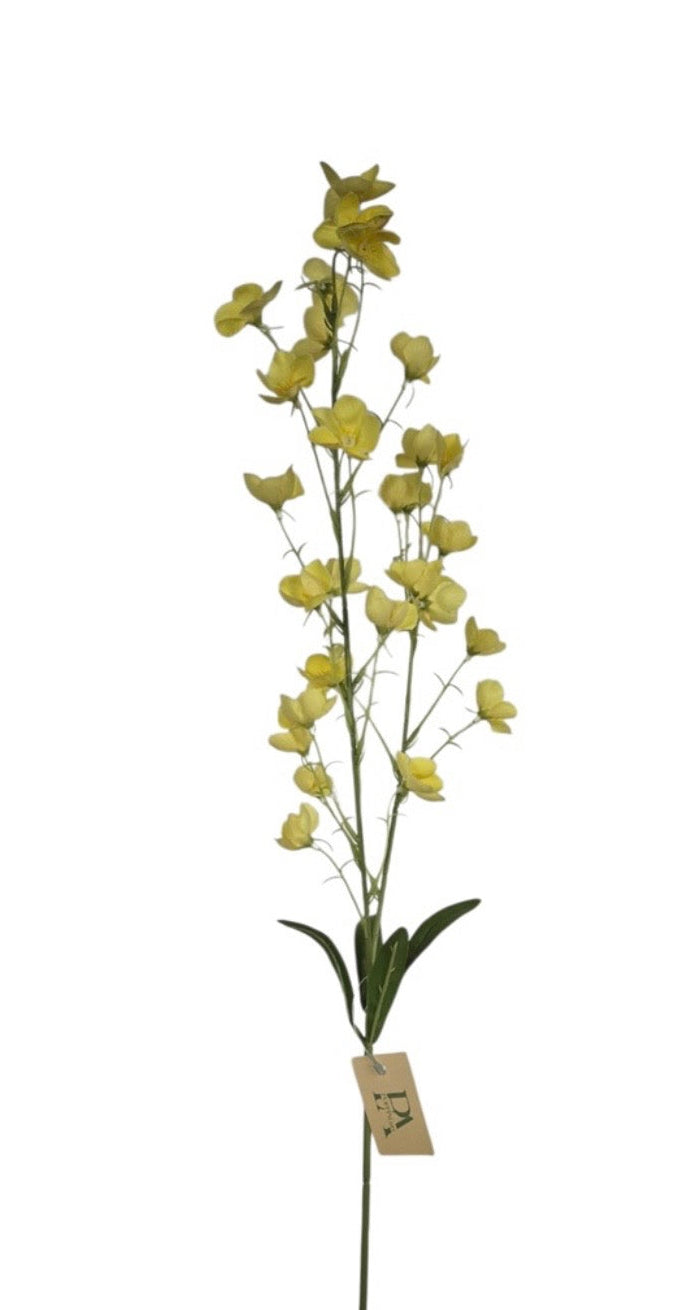 Boter bloem