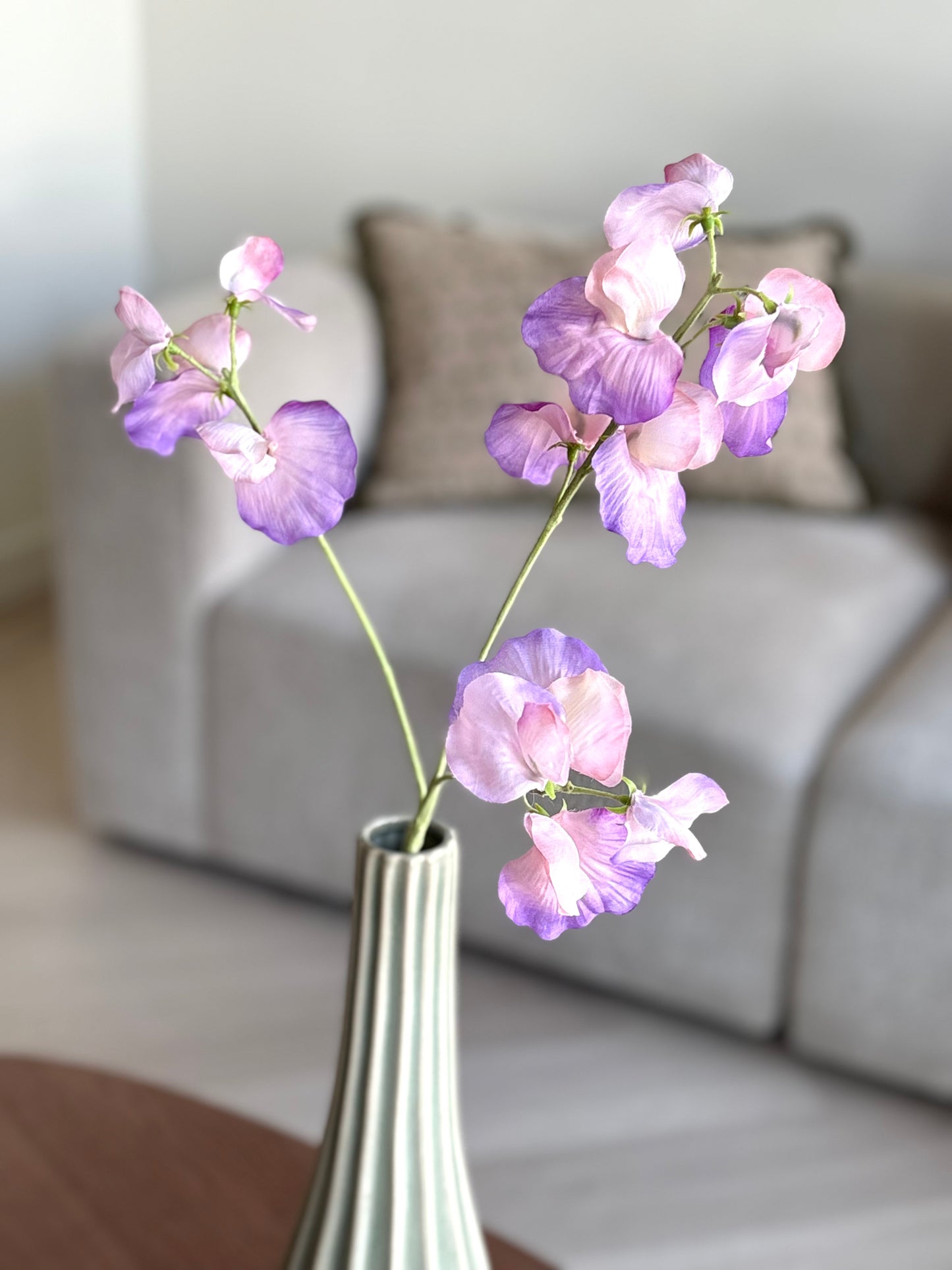 Lathyrus bloem