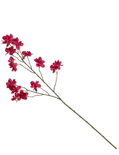 Bloesemtak