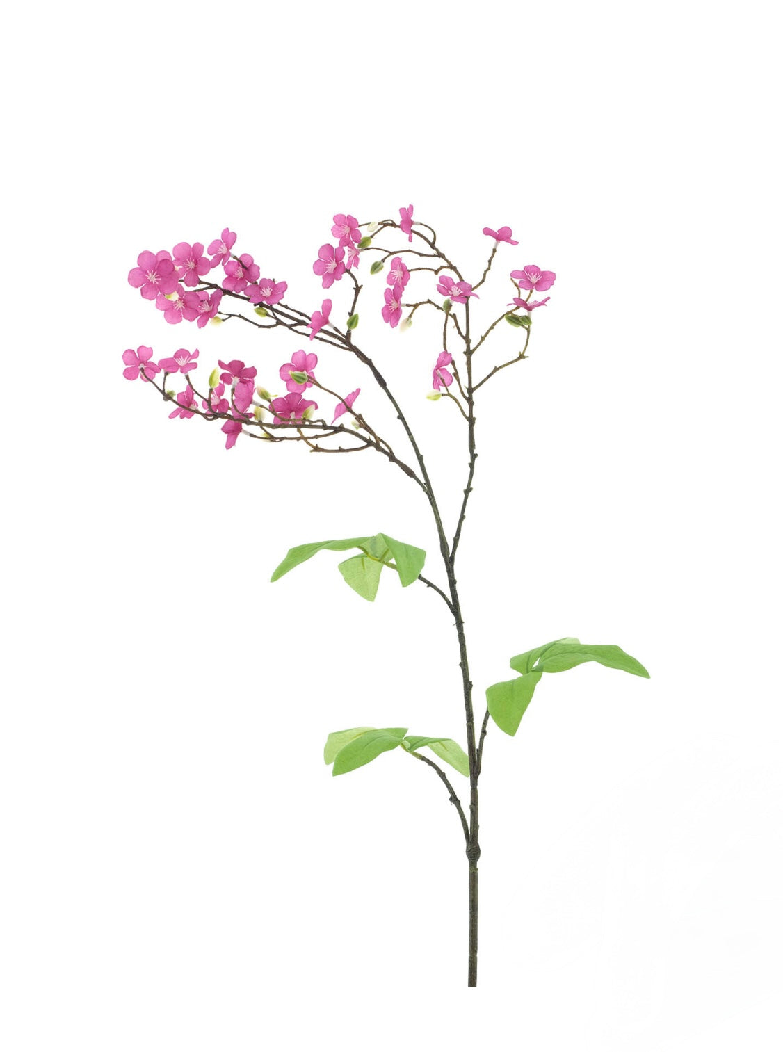 Roze tak