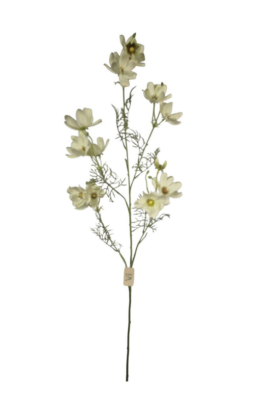 Annemoon bloem