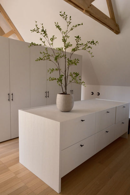 Seren plant