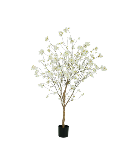 Bloesemboom