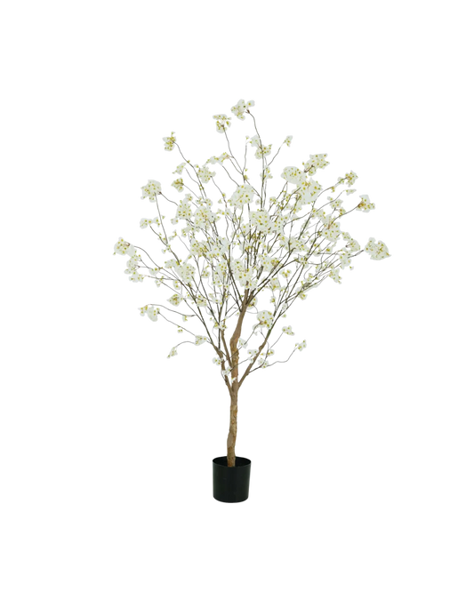 Bloesemboom