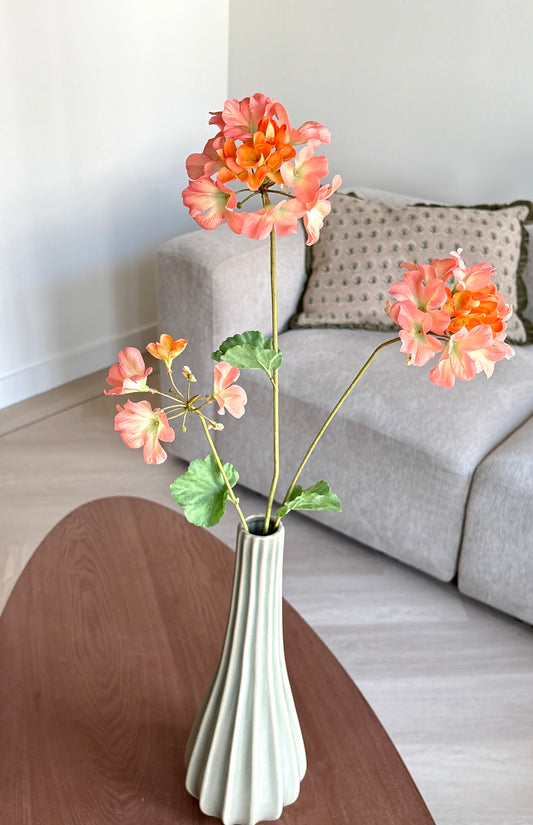Summer bloem