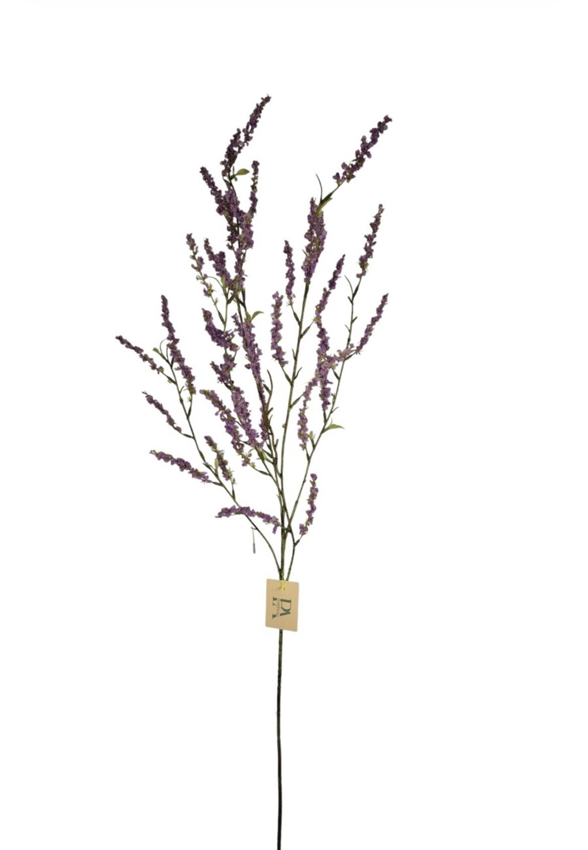 Bruidsbloem