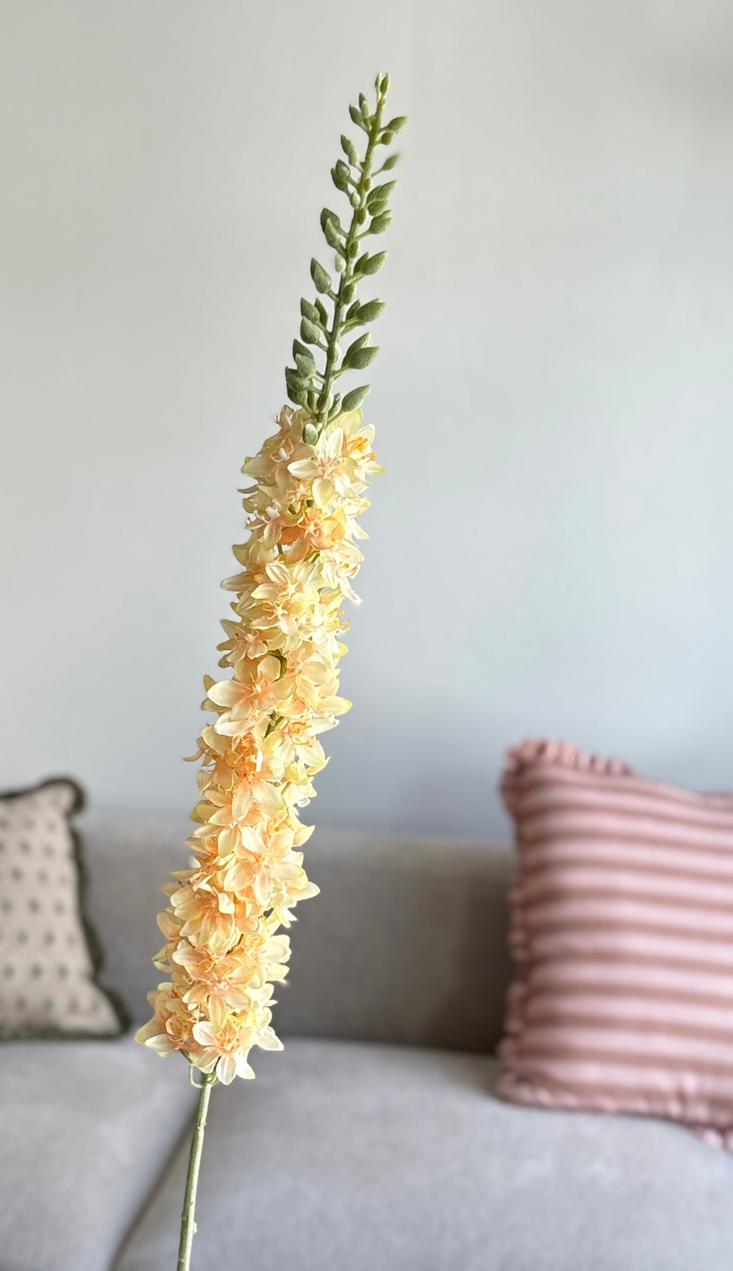 Delphinium bloem
