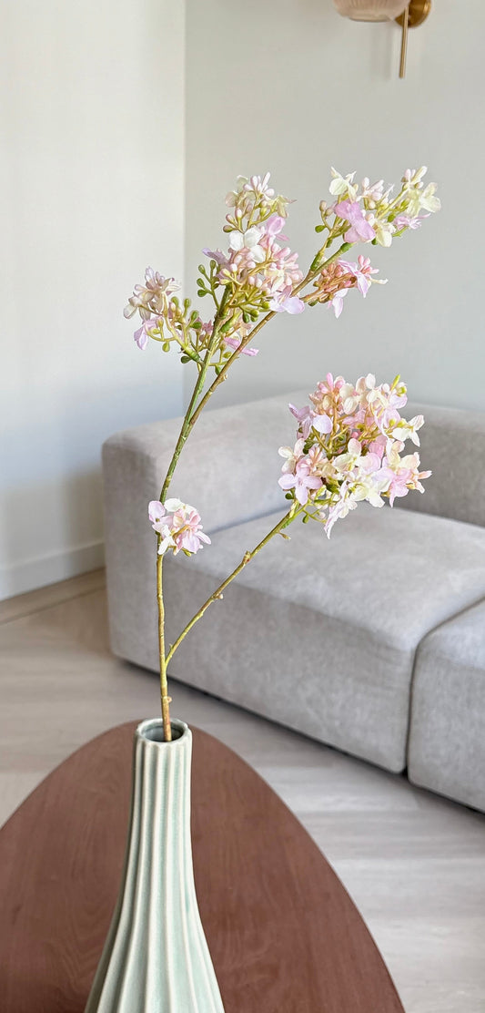 Jasmijn bloem