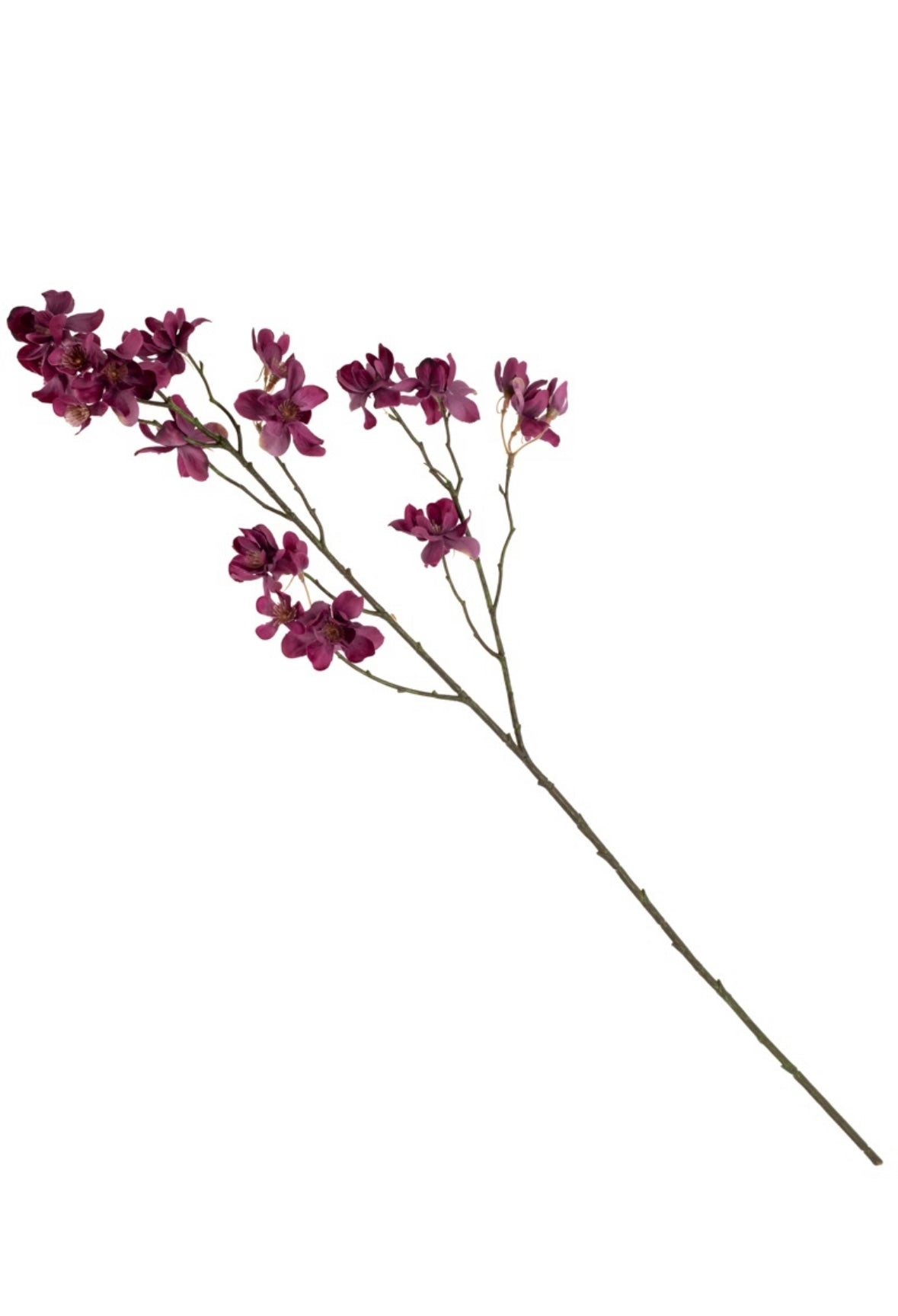 Bloesemtak