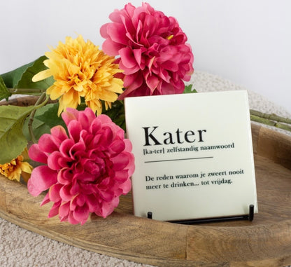 Tegel kater
