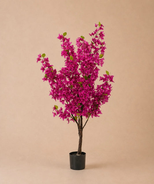 Bougainville boom