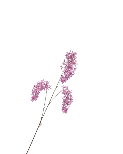 Hangtak