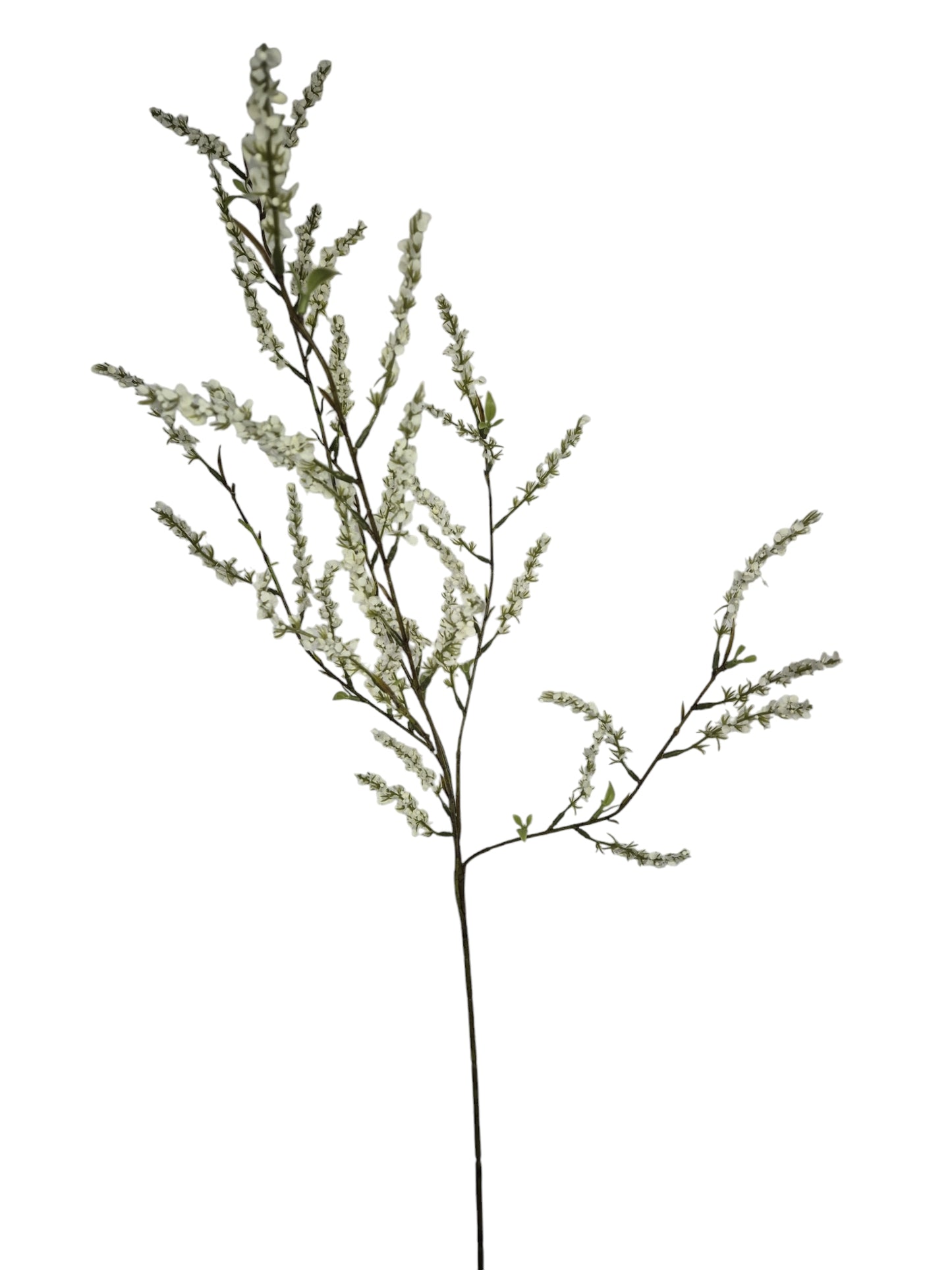 Bruidsbloem