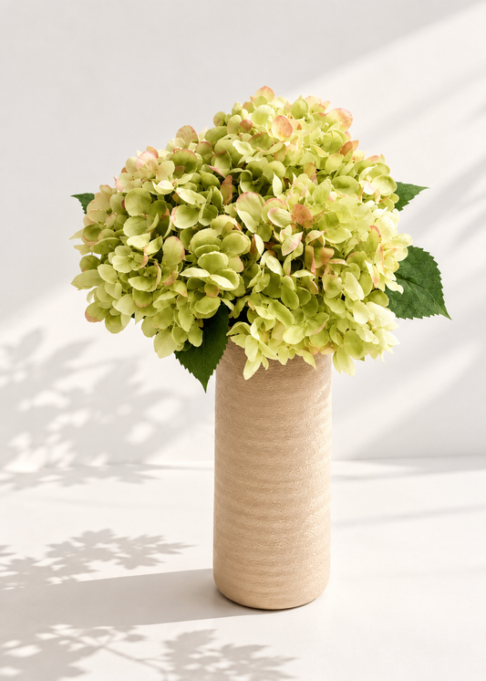 Hortensia bundel
