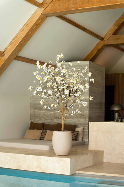 Bloesemboom
