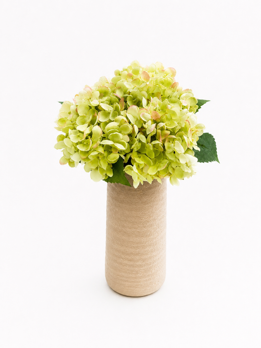 Hortensia bundel