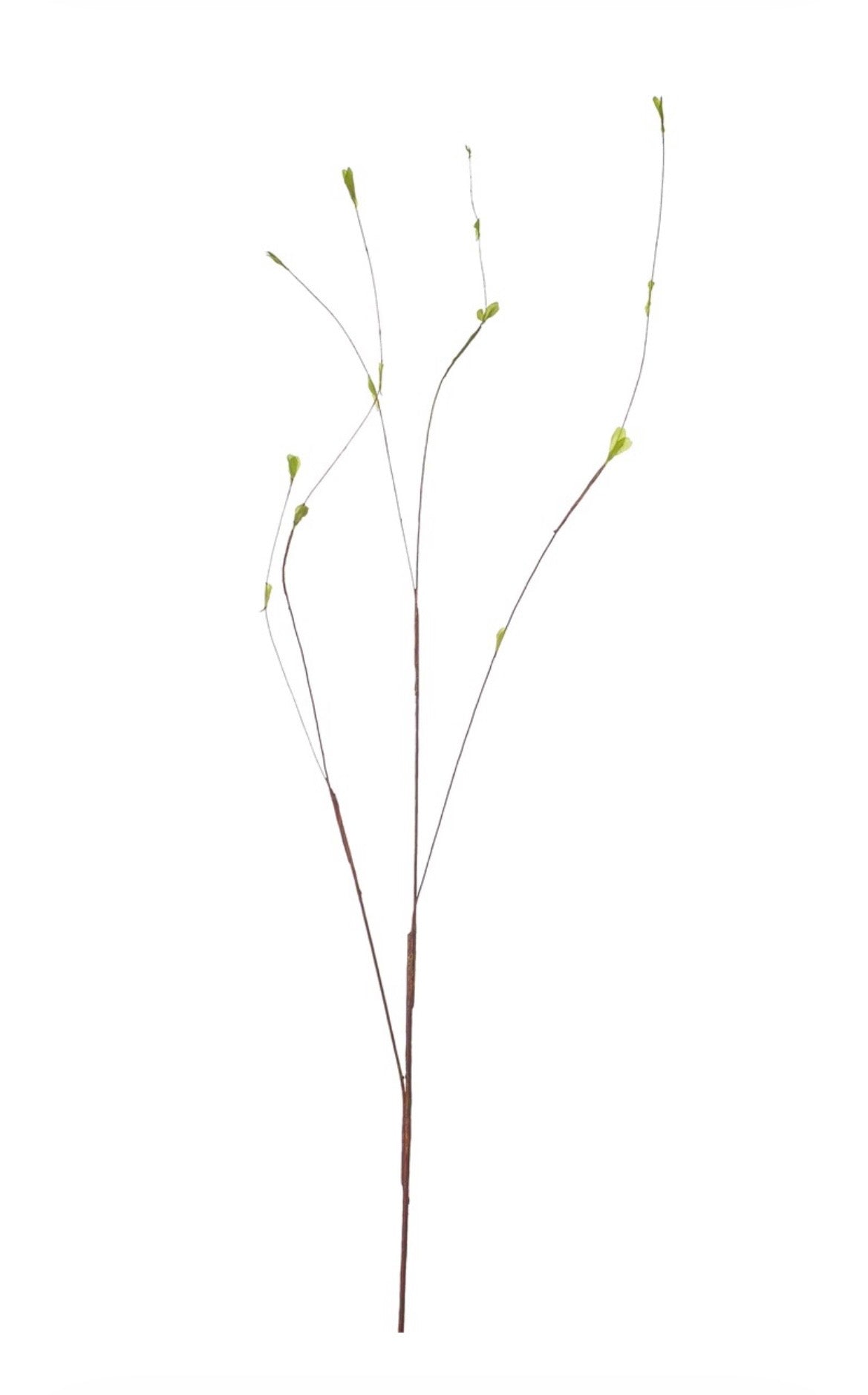 Twig tak