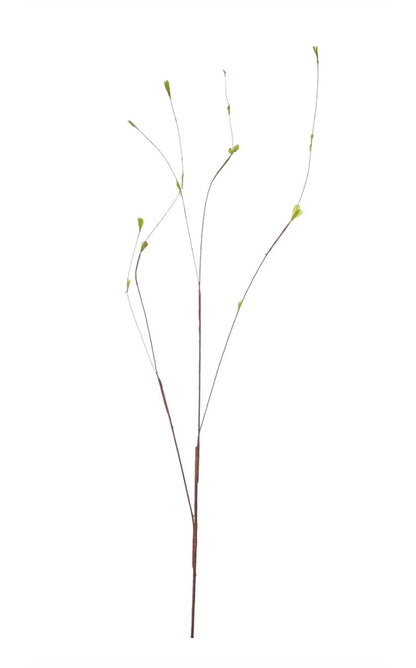 Twig tak