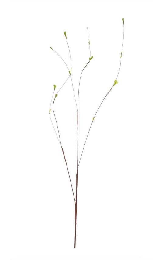 Twig tak