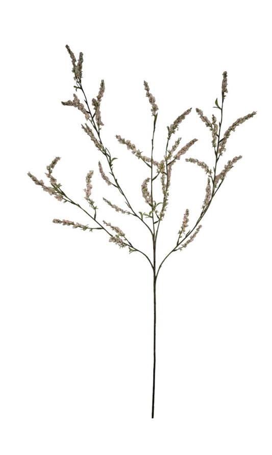 Bruidsbloem