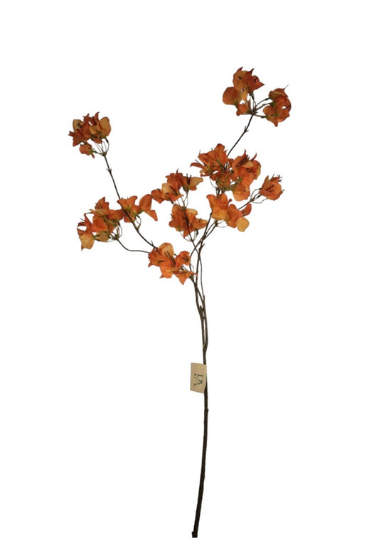 Bougainville