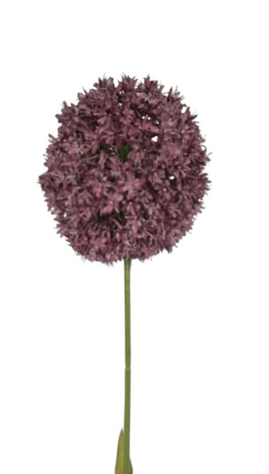 Alliumbol