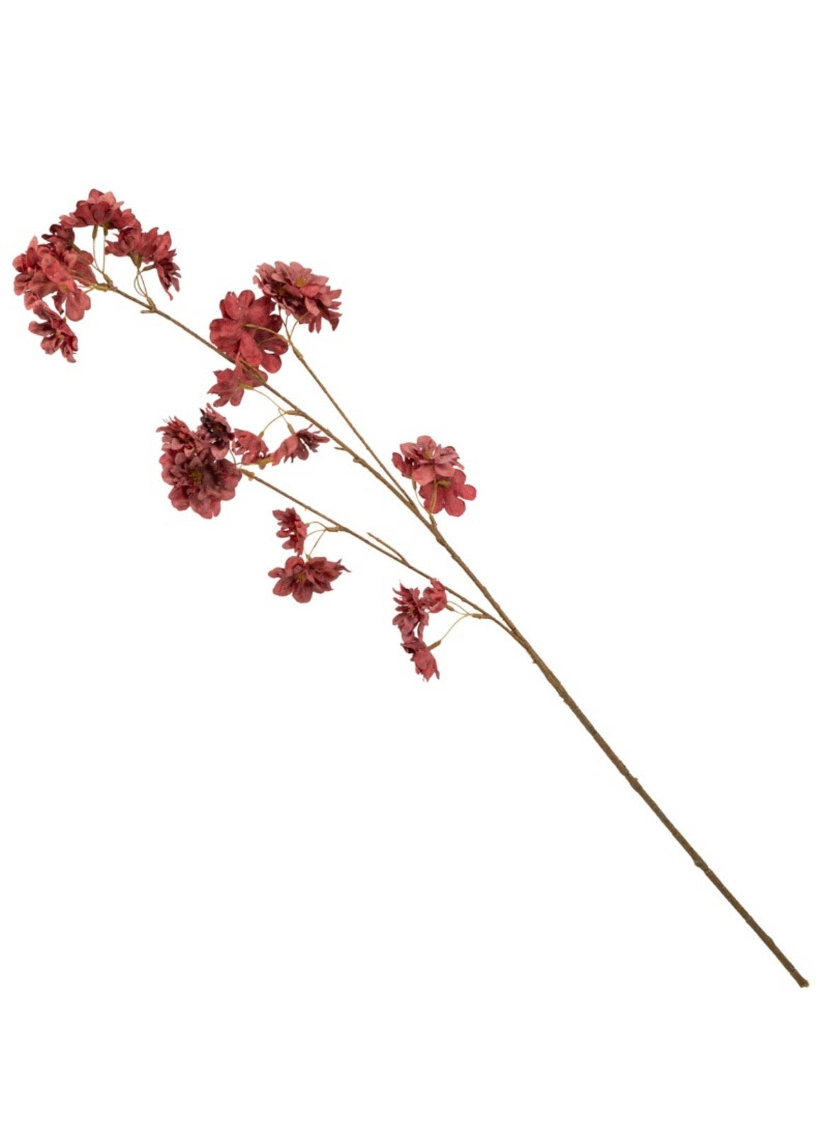 Bloesemtak