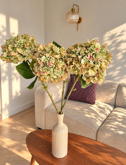 Hortensia bundel