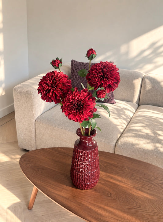 Dahlia bundel
