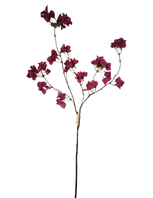 Bougainville