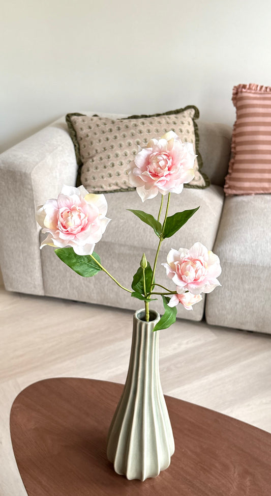 Roos bloem