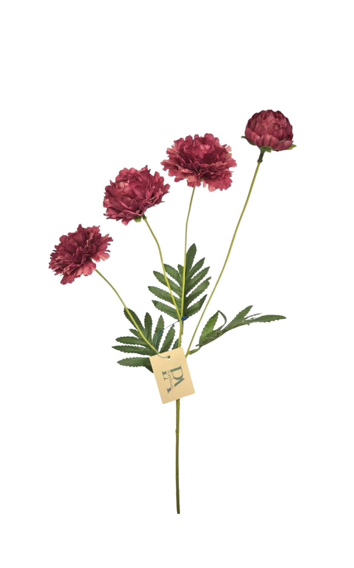 Roze bloem