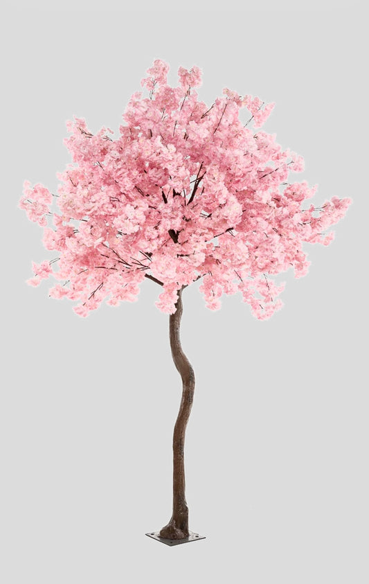 Bloesemboom Mega