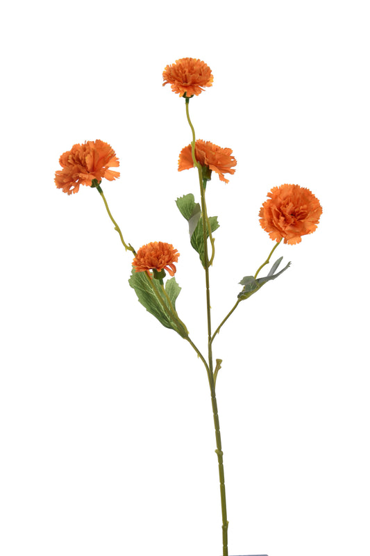 Oranje bloem